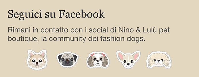 Seguici su Facebook!