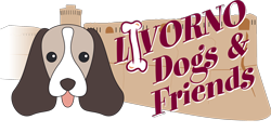 livorno-dogs-friends