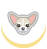 Ugopiadi Chihuahua