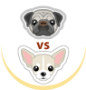 Ugopiadi Carlini vs. Chihuahua