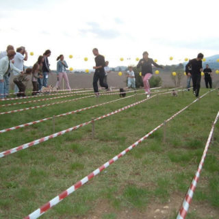 Ugopiadi 2004 - Le olimpiadi del cane carlino 001