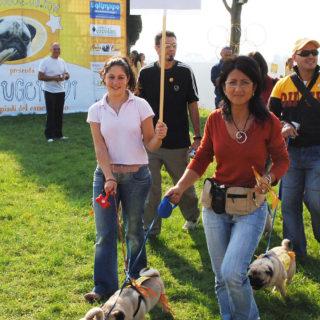 Ugopiadi 2005 - Le olimpiadi del cane carlino 004