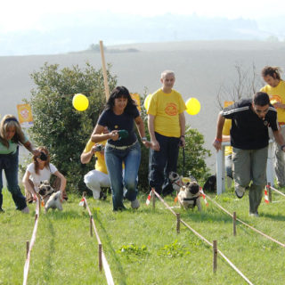 Ugopiadi 2005 - Le olimpiadi del cane carlino 006