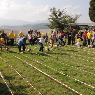 Ugopiadi 2005 - Le olimpiadi del cane carlino 008