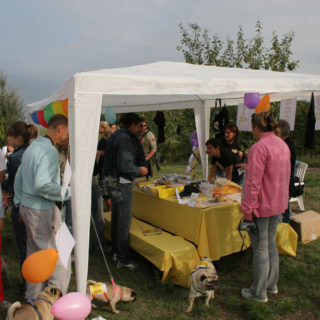 Ugopiadi-2006-I-giochi-del-cane-carlino-002