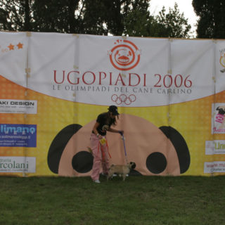 Ugopiadi-2006-I-giochi-del-cane-carlino-004
