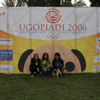 Ugopiadi-2006-I-giochi-del-cane-carlino-005
