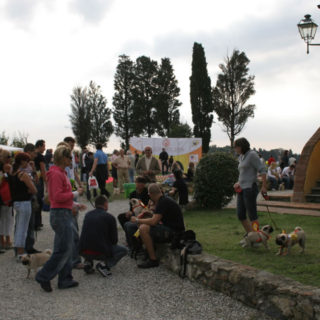 Ugopiadi-2006-I-giochi-del-cane-carlino-010