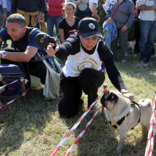 Ugopiadi-2008-I-giochi-del-cane-carlino-001