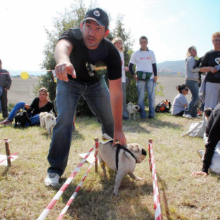 Ugopiadi-2008-I-giochi-del-cane-carlino-008