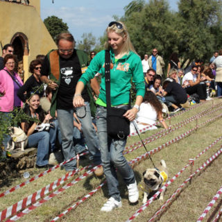 Ugopiadi-2008-I-giochi-del-cane-carlino-010