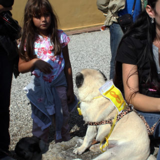 Ugopiadi-2008-I-giochi-del-cane-carlino-011