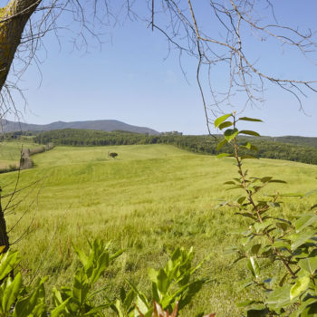 agriturismo_ca_lo_spelli_13