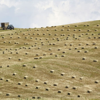 agriturismo_ca_lo_spelli_21