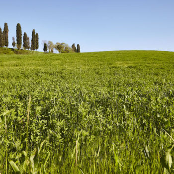 agriturismo_ca_lo_spelli_25