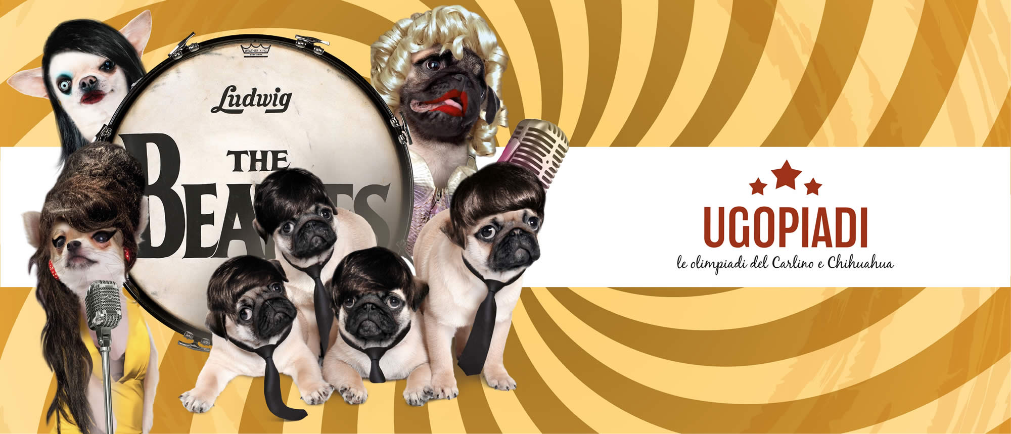 ugopiadi_2018_carlini_chihuahua