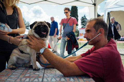 Alle Ugopiadi un veterinario internazionale: <br />Dott. Edoardo Gonzaga