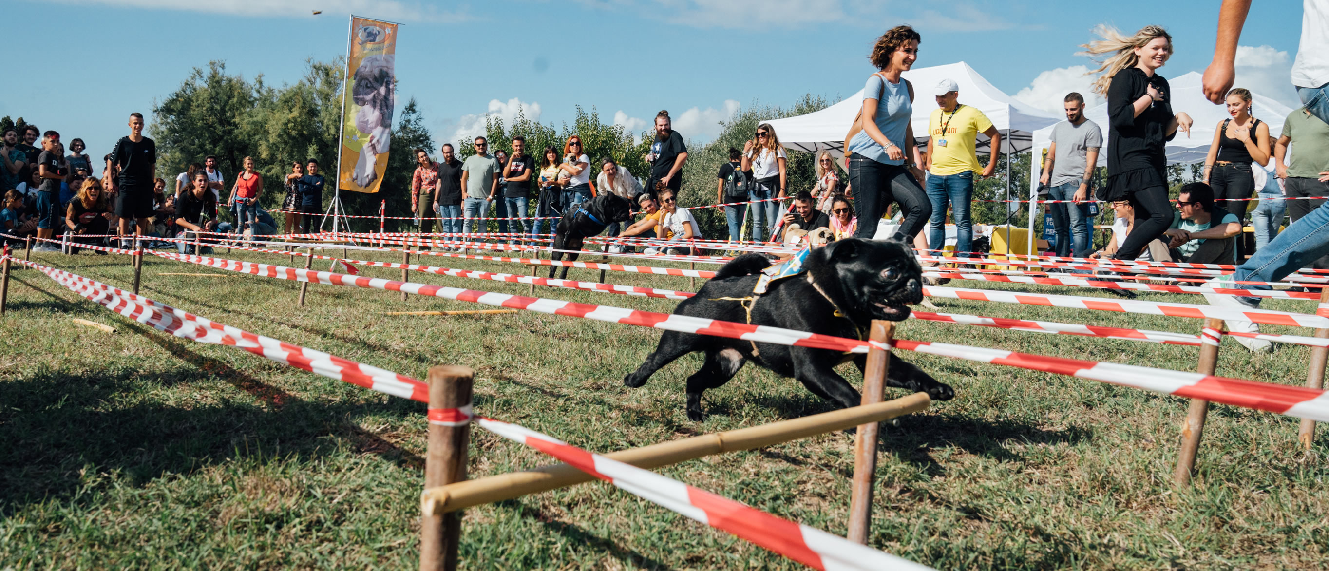 Ugopiadi 2019 - Le Olimpiadi del cane carlino